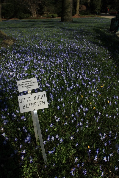 Fruehling   066.jpg